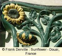 Art Nouveau sunflower in Douai